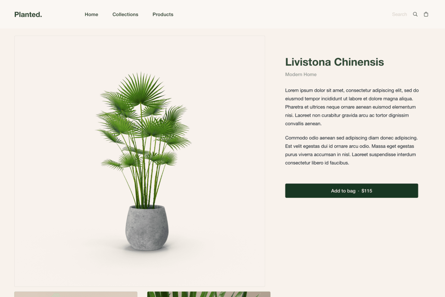 Planted's minimalist homepage showcasing featured plants with dynamic imagery