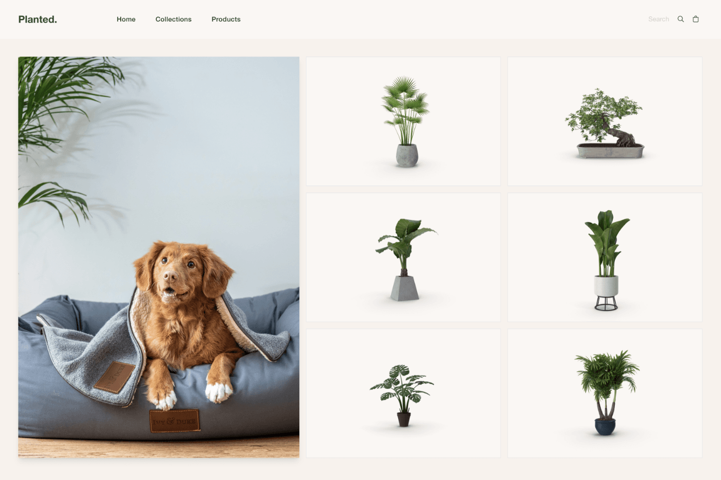 Detailed product page highlighting plant care information and features