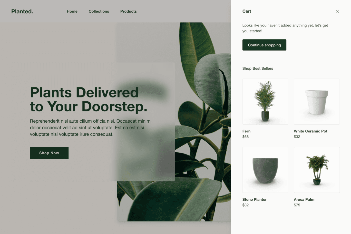 Streamlined checkout experience with integrated care recommendations